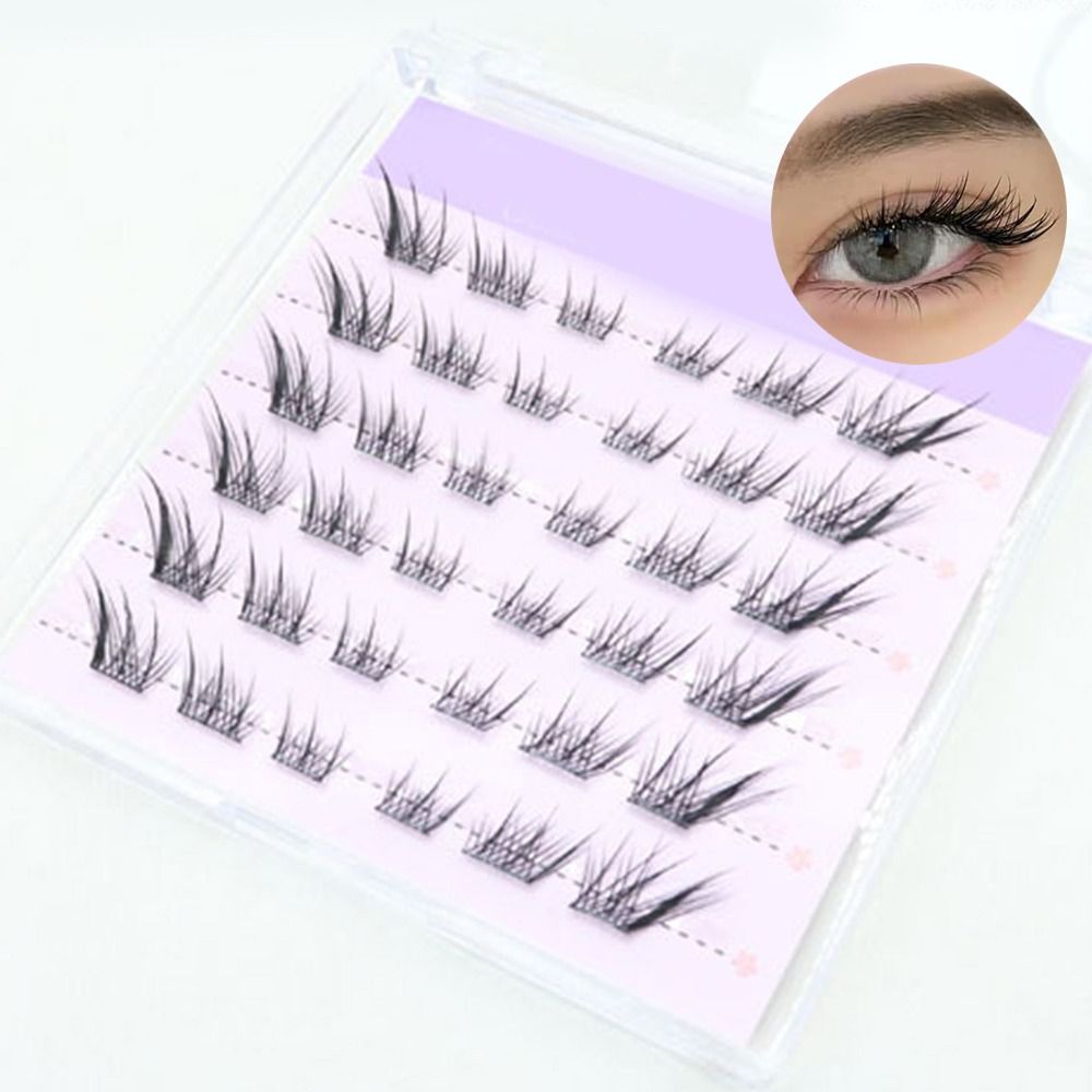 New 3D Cat Eye Self Adhesive L - đánh giá và giá Eyelash Extension Cat Eye Wispy