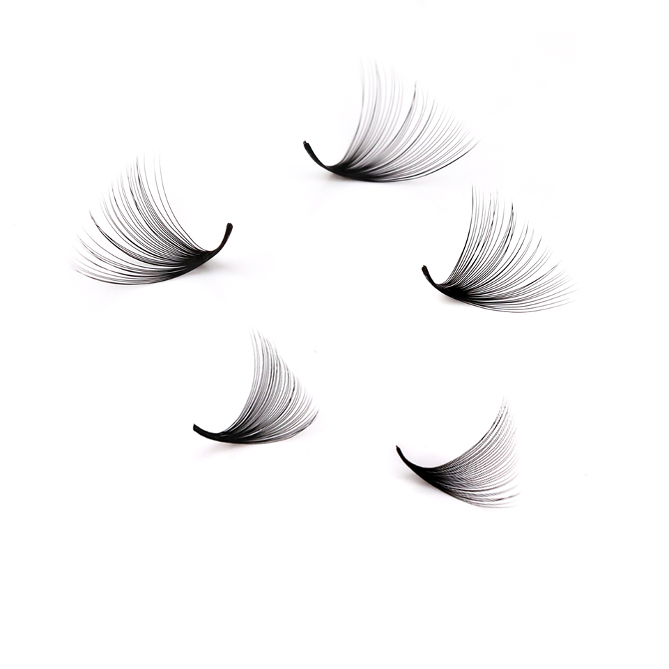 Lashprofessor XL Tray 3D 4D 5D - đánh giá và giá Eyelash Extension Russian Volume