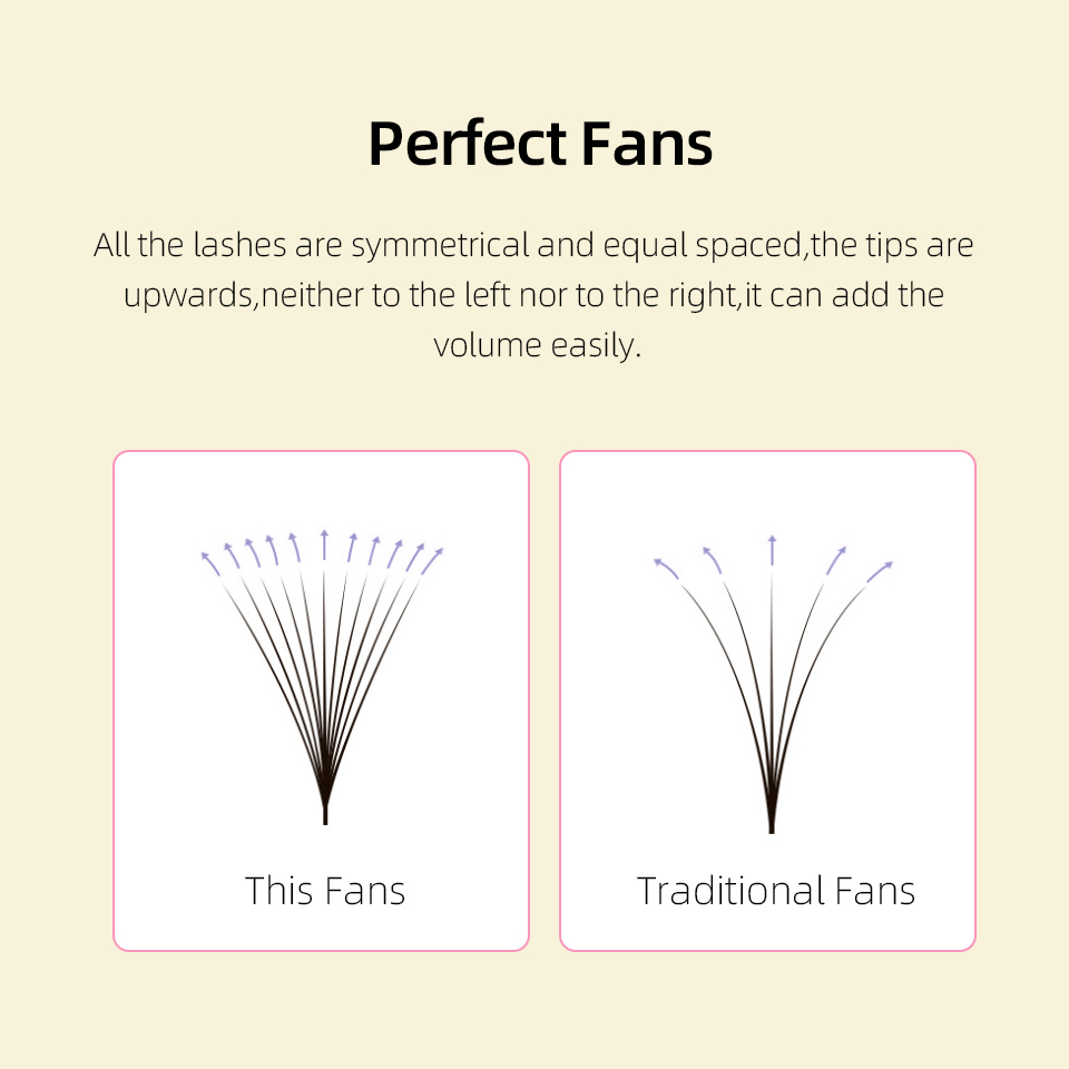 Lashprofessor XL Tray 3D 4D 5D - đánh giá và giá Eyelash Extension Russian Volume