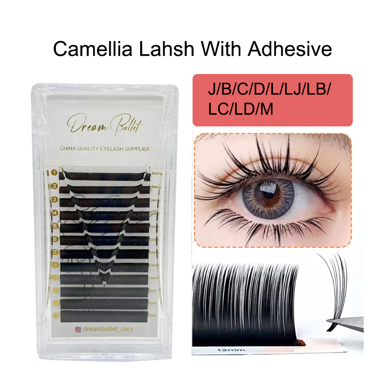 dream ballet Camellia Lashes w - đánh giá và giá Eyelash Extension Russian Volume