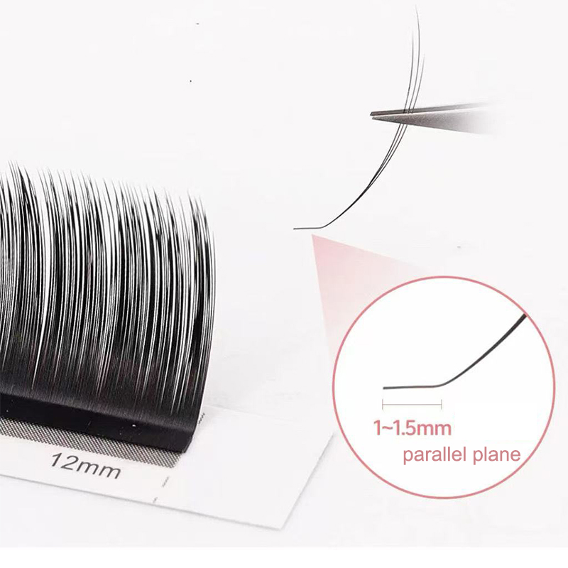 dream ballet Camellia Lashes w - đánh giá và giá Eyelash Extension Russian Volume
