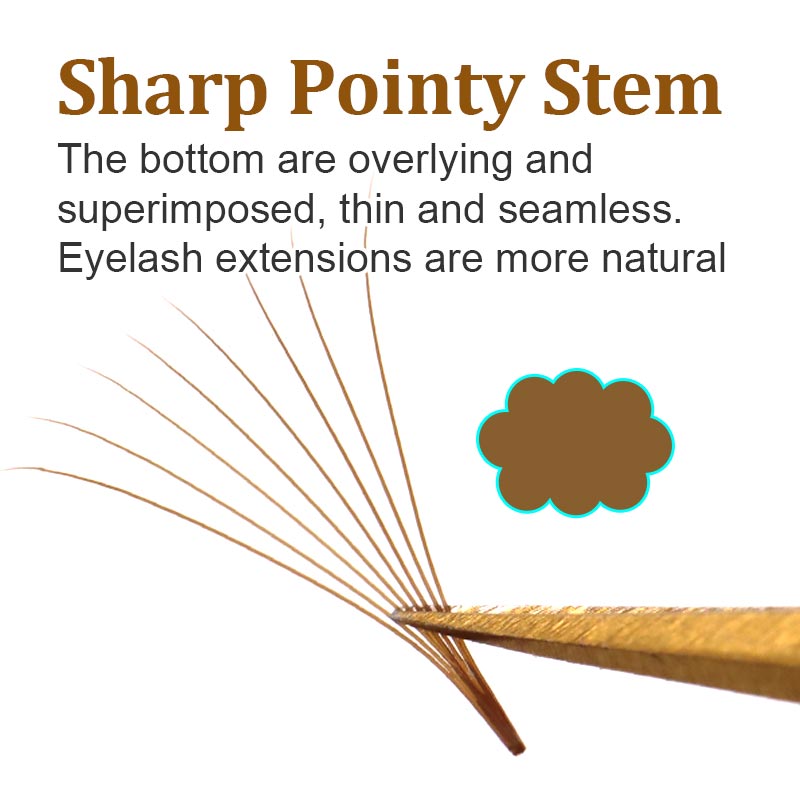 320 Colored Pointy Base Brown  - đánh giá và giá Eyelash Extension Examples