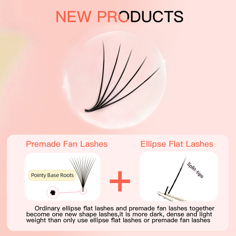 AGUUD Camellia Premade Fans La - đánh giá và giá Eyelash Extension Double Volume